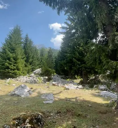 Ismajl Balaj - Holiday Home * Valbone