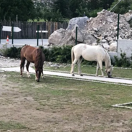 Ismajl Balaj - Holiday Home * Valbone